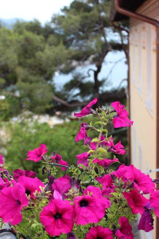 Il Timone Lerta Hotel Monterosso al Mare Buitenkant foto